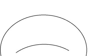 Curvature illusion in psychology